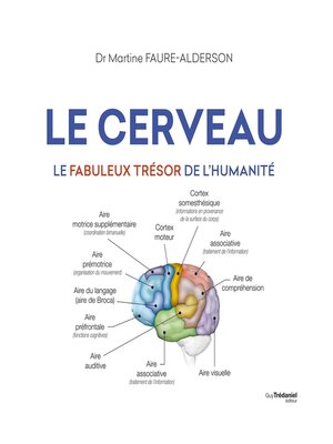 cover image of Le cerveau--Le fabuleux trésors de l'humanité